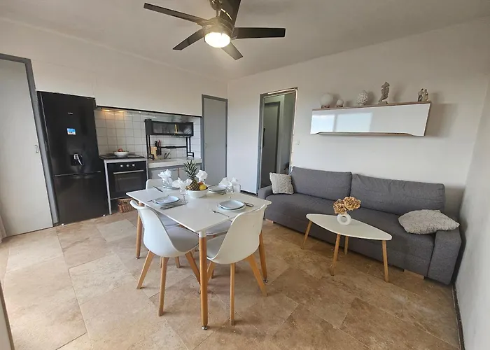 Appartement Face A La Vue Proche Cap D'agde Vias Valras-plage Mediterranee Portiragnes