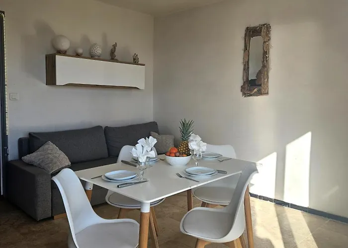 Face A La Vue Proche Cap D'agde Vias Valras-plage Mediterranee * Portiragnes